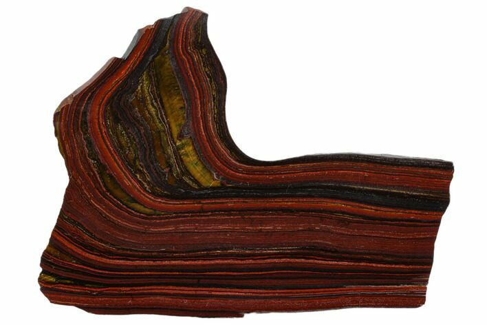 Polished Tiger Iron Stromatolite - Billion Years #129348